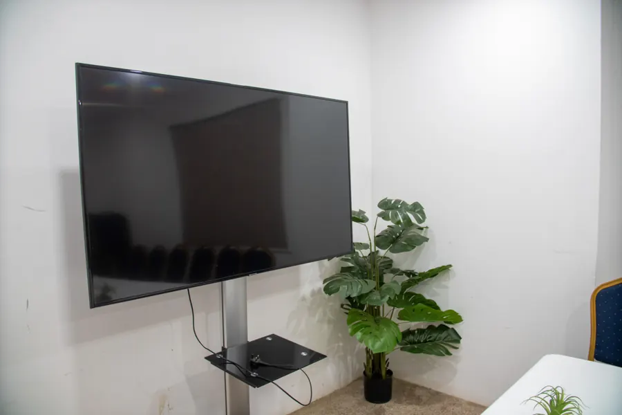 Wall-mounted conference presentation screen and greenery at yecSpace